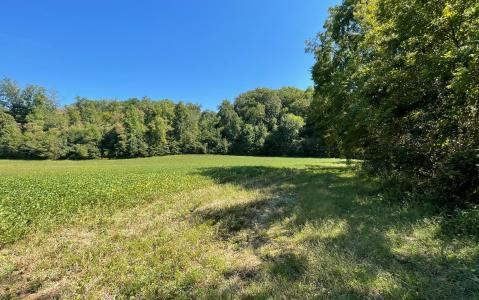 37+ac Jarrett Road, Hayesville, 北卡羅來納州 28904, 美國