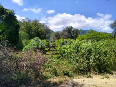 Culiacán, Sinaloa 80305, Mexico