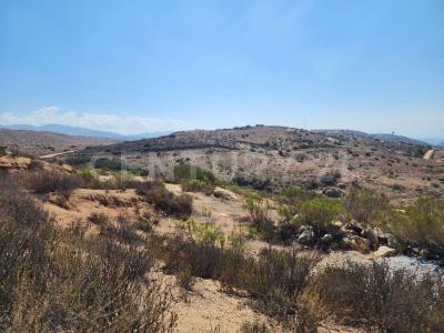 Calle Sector Oeste y Sur #0 0 Rusticos Tecate BC S/N,, Tecate, Basse-Californie 21401, Mexique