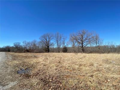 0 Lot 11 Promise Drive, Lebanon, Missouri 65536, Estados Unidos
