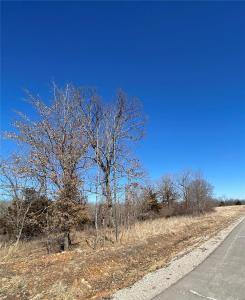 0 Lot 11 Promise Drive, Lebanon, Missouri 65536, Estados Unidos