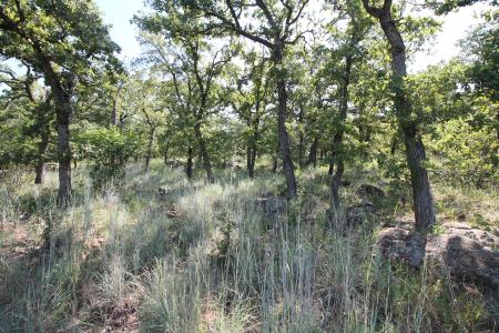 Lot 265 Ridgeline, Chico, Texas 76431, USA