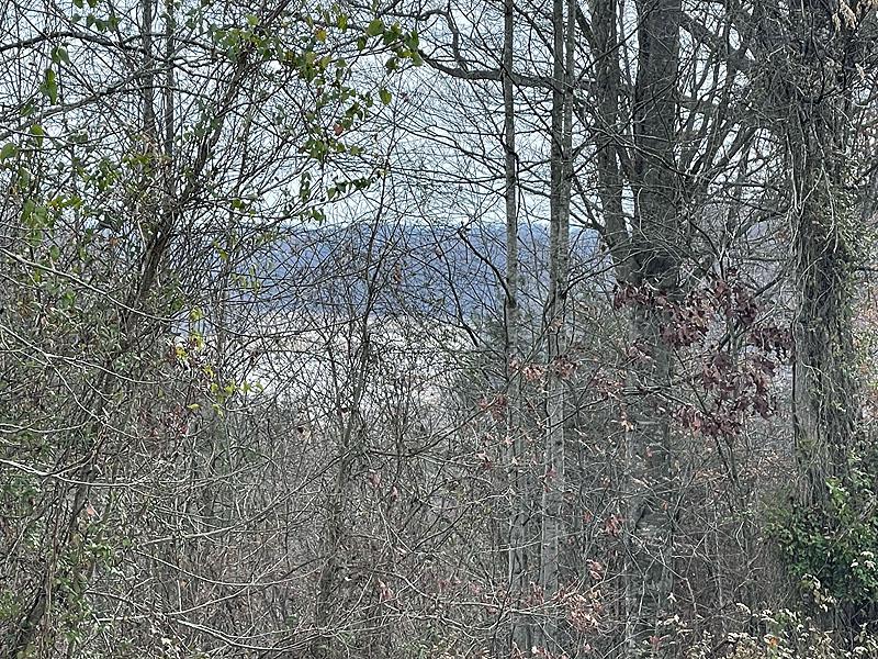Lot 138 Stillwater , Russell Springs, Kentucky 42642, Estados Unidos