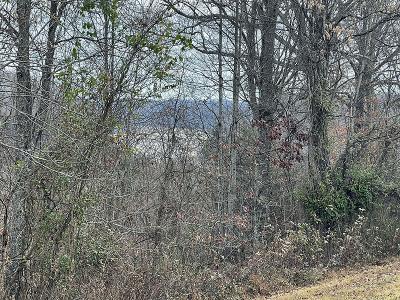 Lot 138 Stillwater , Russell Springs, Kentucky 42642, Estados Unidos