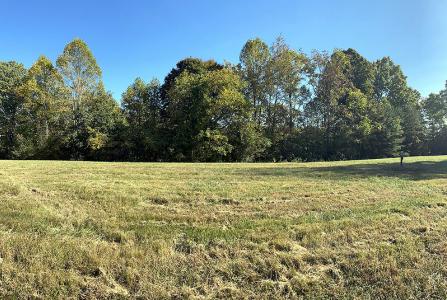 Lot 138 Stillwater , Russell Springs, Kentucky 42642, Estados Unidos