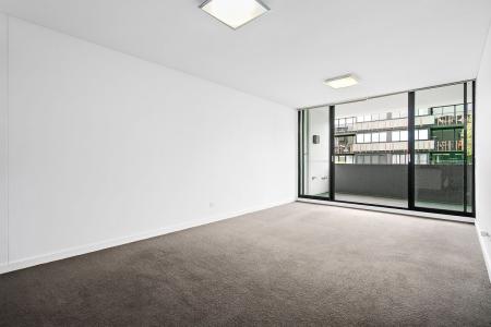201/828 Elizabeth Street, Waterloo, NSW 2017, Australie