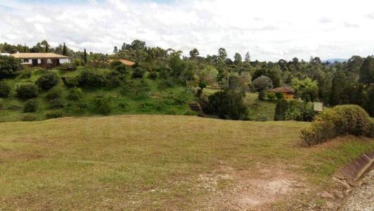 Rionegro, Antioquia 00001, Colombie
