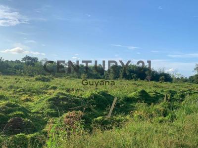 East Bank Demerara, 00000, Guyana