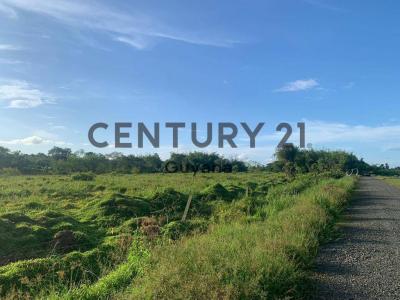 East Bank Demerara, 00000, Guyana