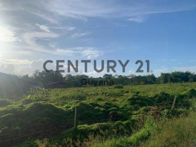 East Bank Demerara, 00000, Guyana