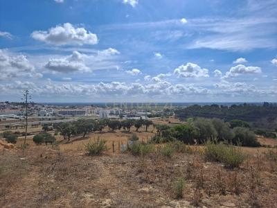 Azambuja, Lisboa 2050-001, Portugal