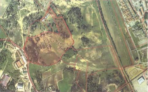 Azambuja, Lizbon 2050-001, Portekiz
