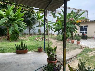 Minatitlan, Veracruz 96760, Mexique