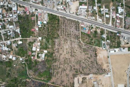 Coyuca De Benítez, Guerrero 40970, Mexico
