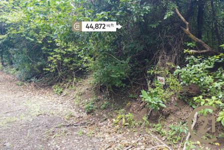 Craigston Estate - Lot No. 50, Craigston, Carriacou West Indies, גרנדה 