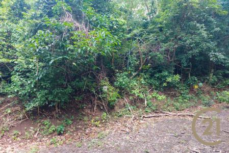 Craigston Estate - Lot No. 50, Craigston, Carriacou West Indies, Granada