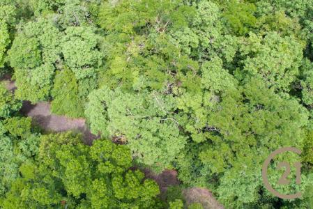 Craigston Estate - Lot No. 50, Craigston, Carriacou West Indies, Granada