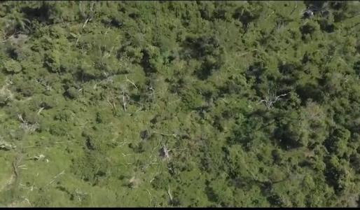 Pilar, Ñeembucú 00001, 巴拉圭