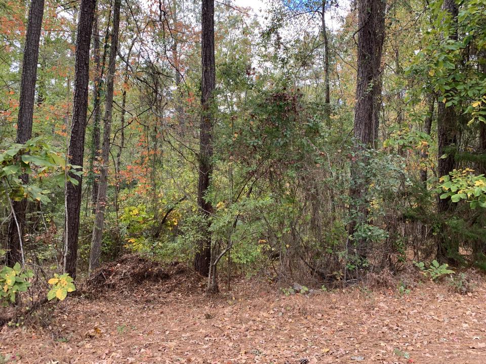 7.25 acres Hwy 278 & Bensberg Rd, Camden, Arkansas 71701, Estados Unidos