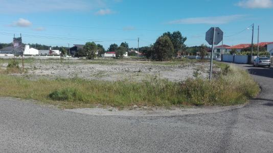 Alcobaça, Leiria 2445-765, Portugal