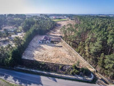 Leiria, Leiria 2425-741, Portogallo