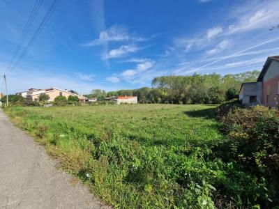 Oliveira Do Bairro, Aveiro 3770-216, Portugal
