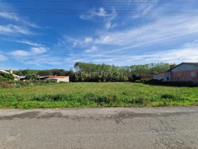 Oliveira Do Bairro, Aveiro 3770-216, Portugal