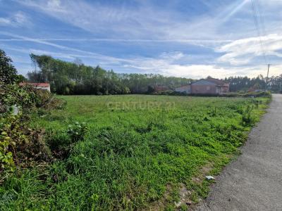 Oliveira Do Bairro, Aveiro 3770-216, Portugal