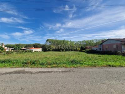 Oliveira Do Bairro, Aveiro 3770-216, Portugal