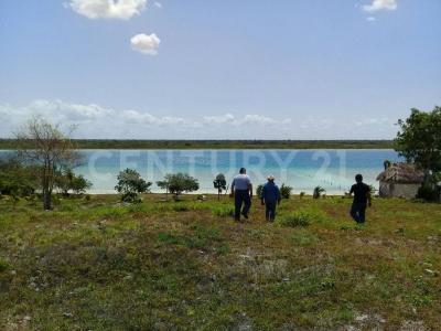 Othon P Blanco, ولاية كينتانا رو 77930, المكسيك