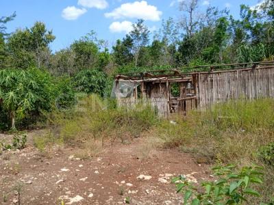 Othon P Blanco, ولاية كينتانا رو 77930, المكسيك