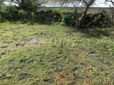 La Parcela 45 Z1 P1/1,, Acatlán De Juárez, 哈利斯科 45710, 墨西哥