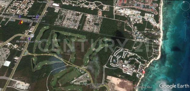 Los Arrecifes,, Solidaridad / Riviera Maya, Quintana Roo 77710, Mexico