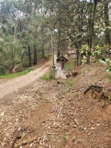 Calle de las Morenas 12 Secc A,, Huasca De Ocampo, Идальго 42001, Мексика