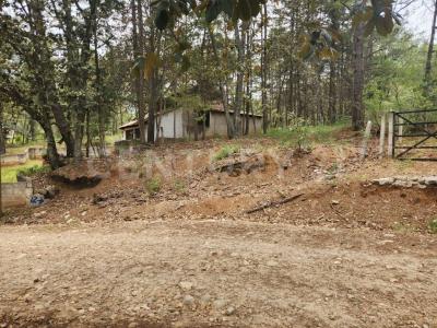Calle de las Morenas 12  Secc A,, Huasca De Ocampo, 伊达尔戈 42001, 墨西哥