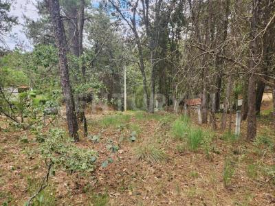 Calle de las Morenas 12  Secc A,, Huasca De Ocampo, 伊达尔戈 42001, 墨西哥
