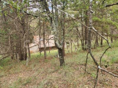 Calle de las Morenas 12  Secc A,, Huasca De Ocampo, 伊达尔戈 42001, 墨西哥
