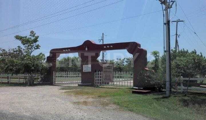 Aldama, Tamaulipas 89670, Mexico
