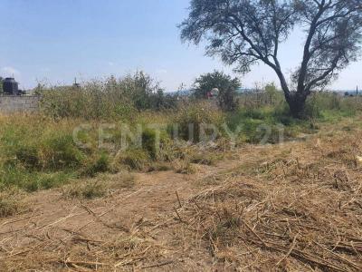 rabit 236,, Tonala, Jalisco 45420, México