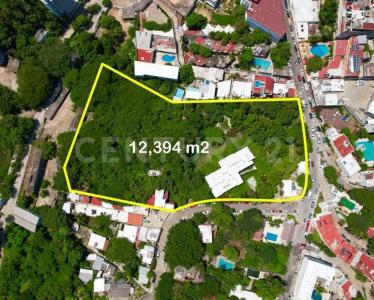 Gran Via Tropical 11,, Acapulco, Guerrero 39390, Mexico