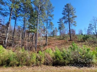 2076 Island View Lane NE, Connelly Springs, Carolina Do Norte 28612, Estados Unidos