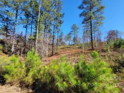 2076 Island View Lane NE, Connelly Springs, Carolina Do Norte 28612, Estados Unidos