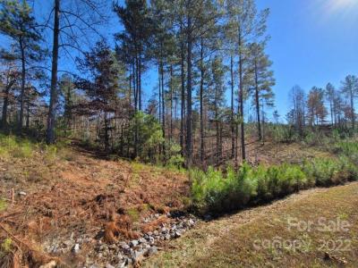 2076 Island View Lane NE, Connelly Springs, Carolina Do Norte 28612, Estados Unidos