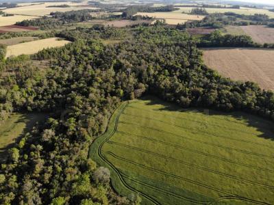 Nueva Alborada, Itapúa 00001, Paraguay