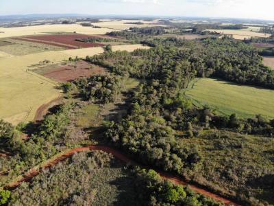 Nueva Alborada, Itapúa 00001, Paraguay