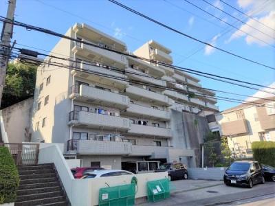 池辺町, アドリーム横浜鴨居, 横浜市都筑区, Kanagawa 224-0053, Japan