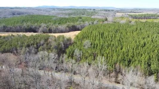 Lot 1 Red House Rd, Rustburg, Virginia 24588, USA