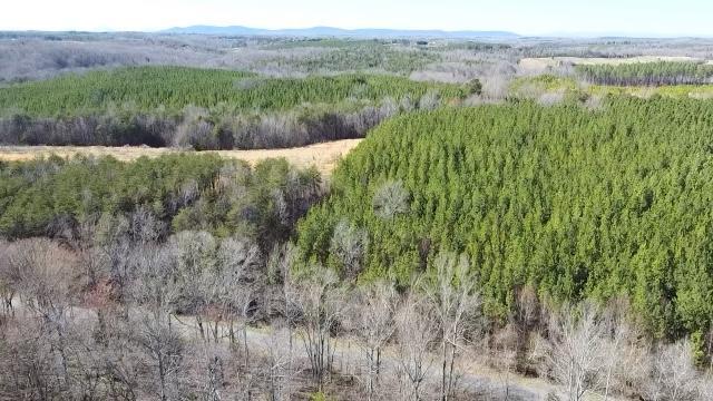 Lot 1 Red House Rd, Rustburg, Virginia 24588, HOA KỲ