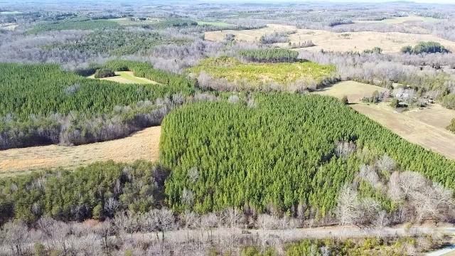 Lot 2 Red House Rd, Rustburg, Virginia 24588, HOA KỲ