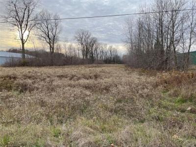 0 Vandyke, Almont, Michigan 48003, USA